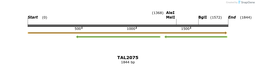49747_map