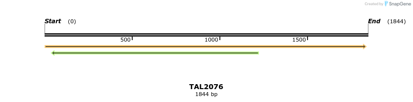 49748_map