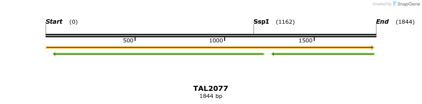 49749_map