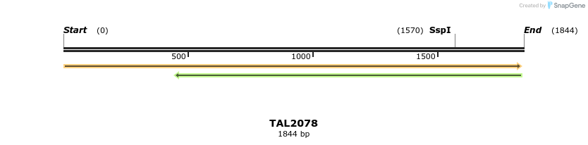 49750_map