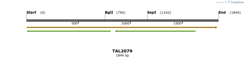 49751_map