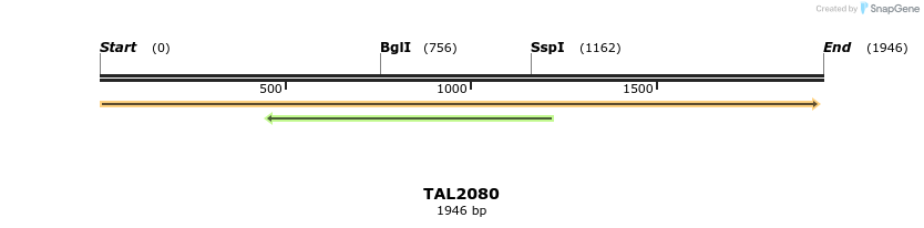49752_map