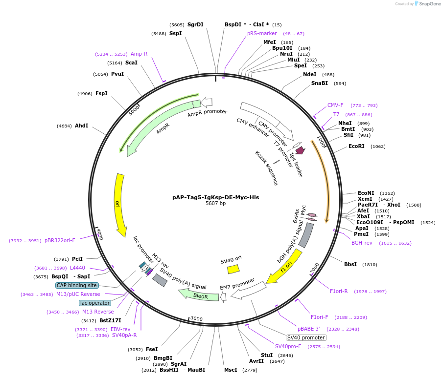 497520_map