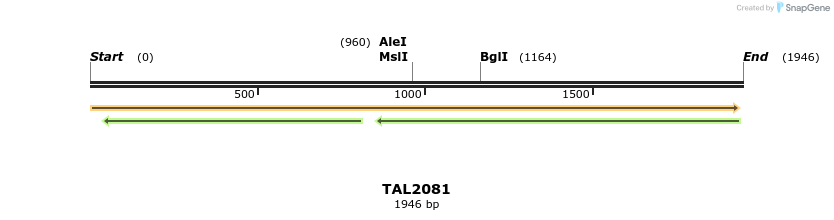 49753_map