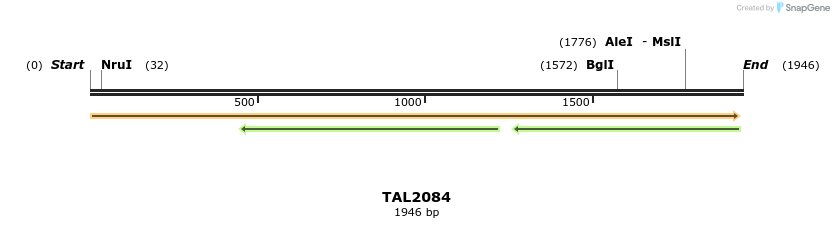 49754_map