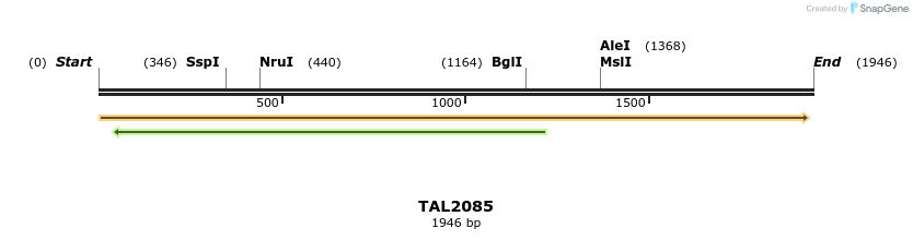 49755_map
