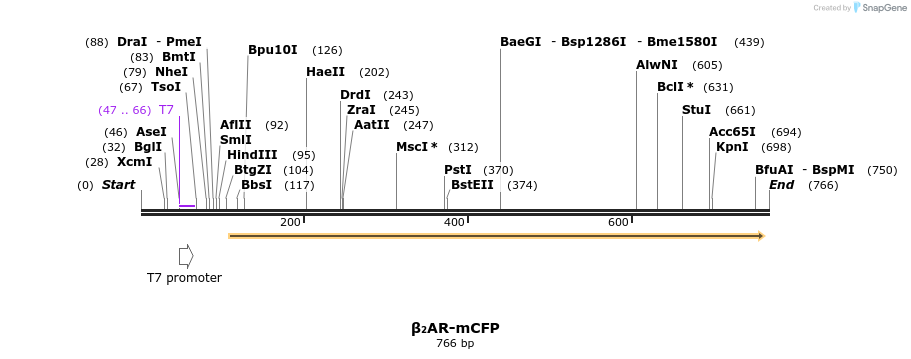 49758_map