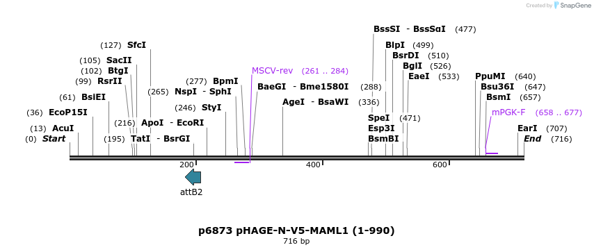 49762_map