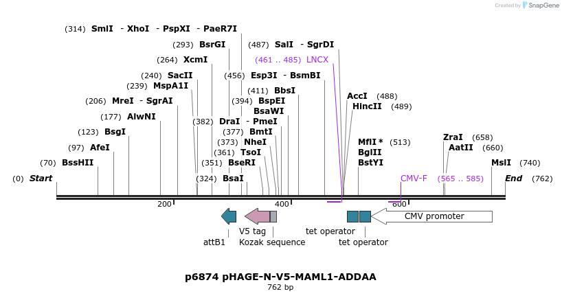 49763_map