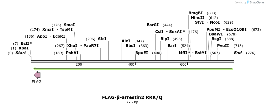 49764_map