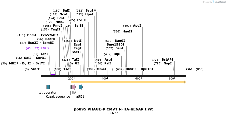 49765_map