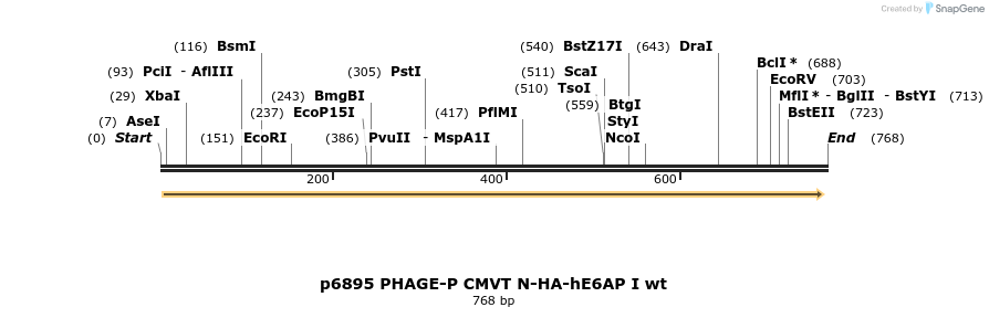 49766_map