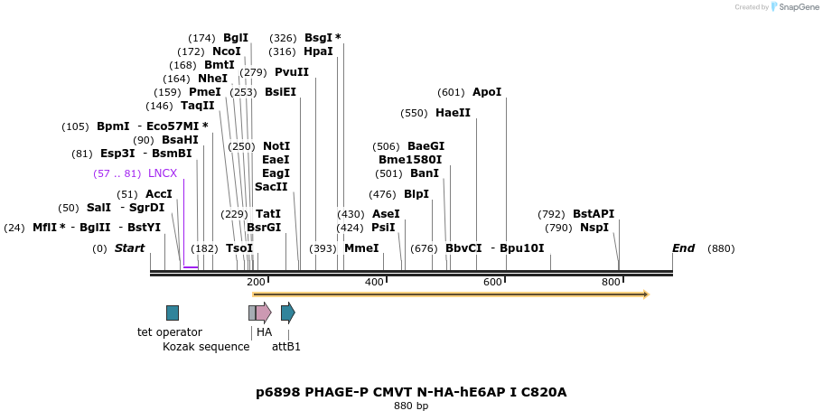 49767_map