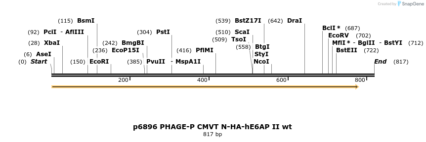 49769_map