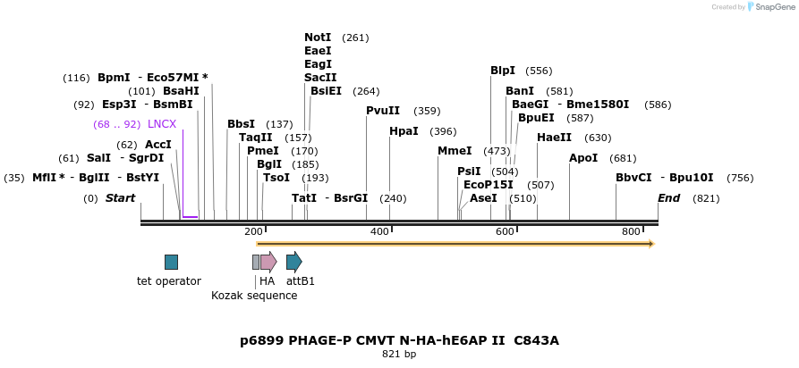 49771_map