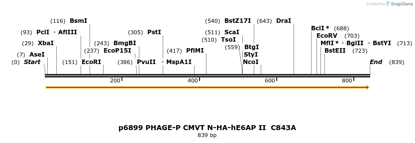 49772_map