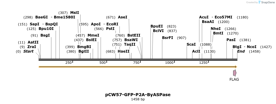 497752_map