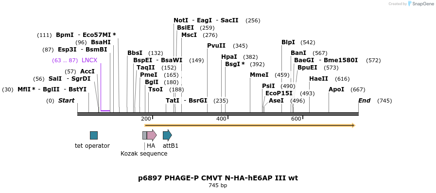49784_map