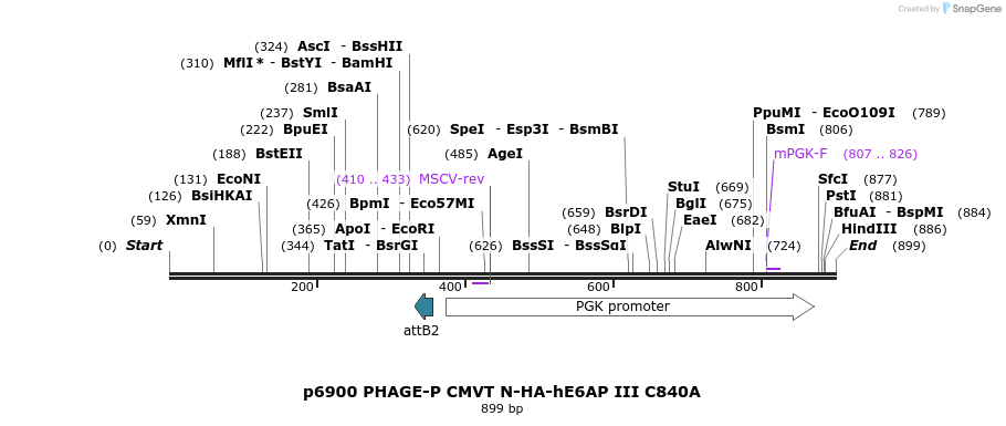 49786_map