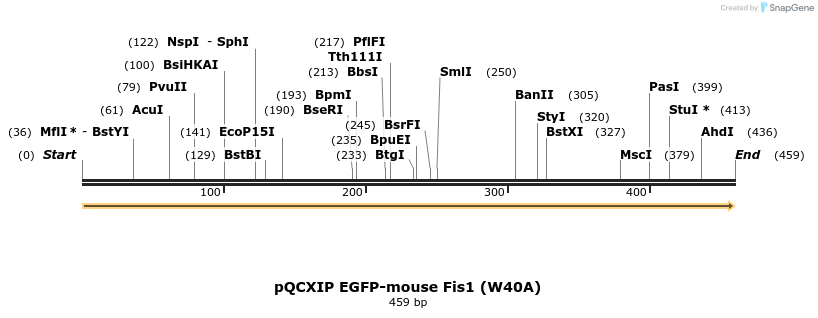 497899_map