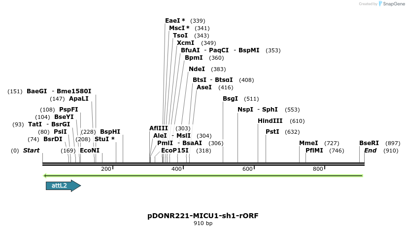 49790_map