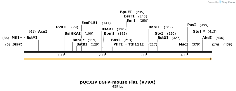 497902_map
