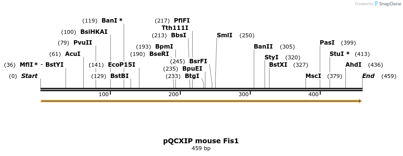 497907_map