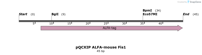 497909_map