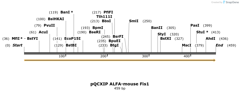 497910_map
