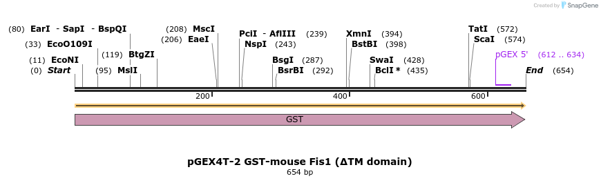 497912_map