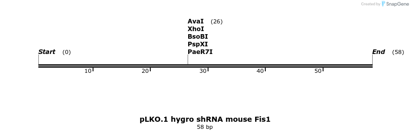497918_map