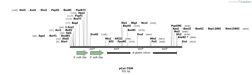 49792_map