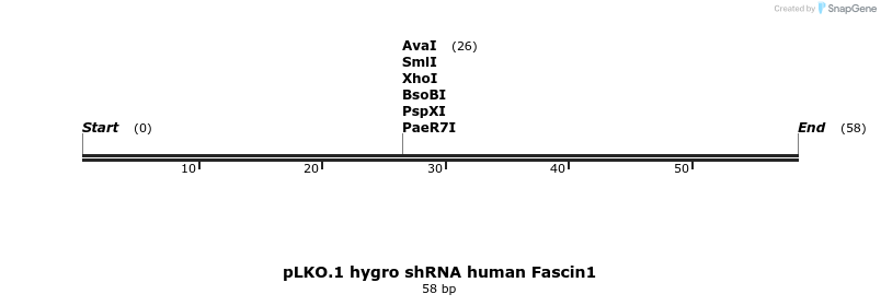 497924_map