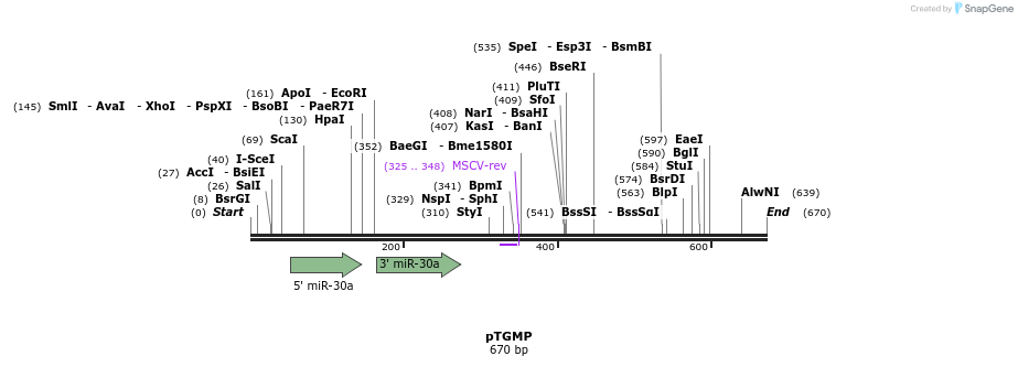 49796_map