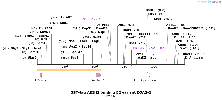 497972_map