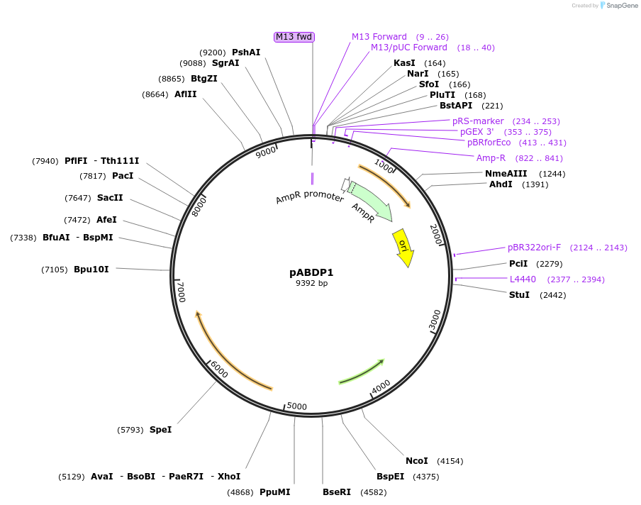 497976_map