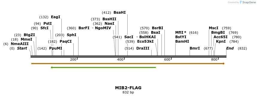 49798_map
