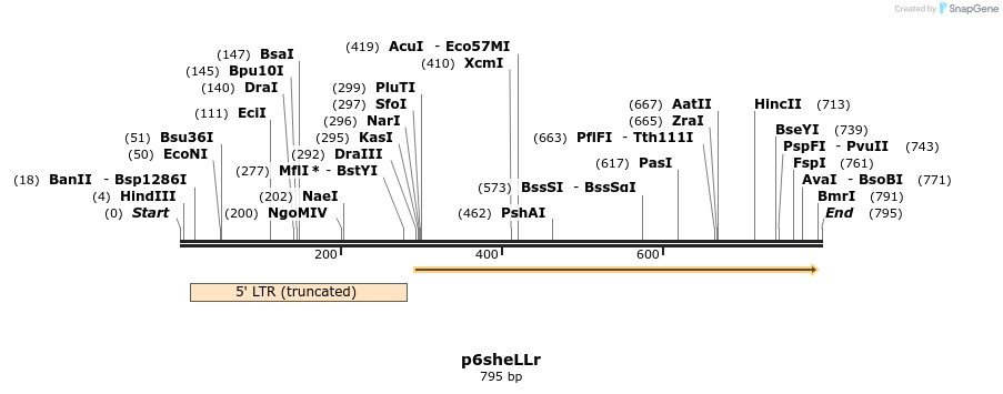 49799_map