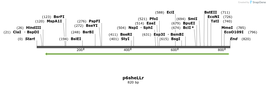 49800_map