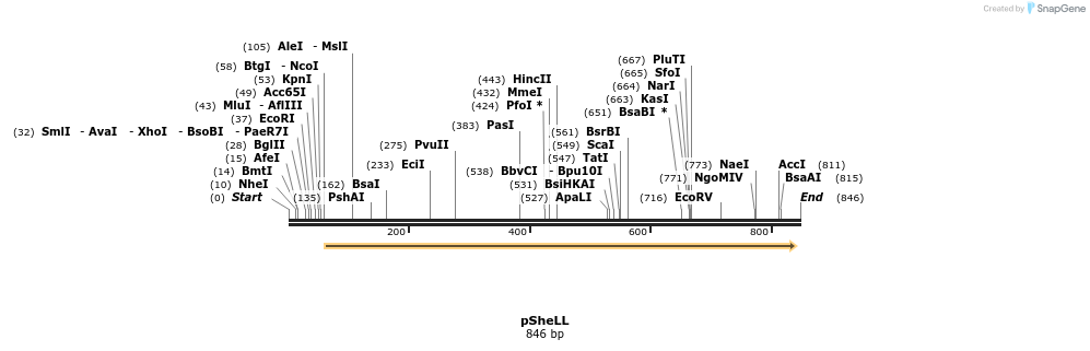 49801_map