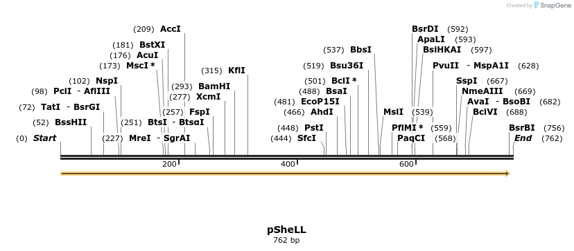 49802_map