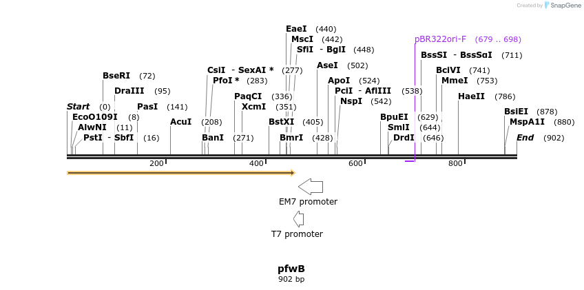 49803_map