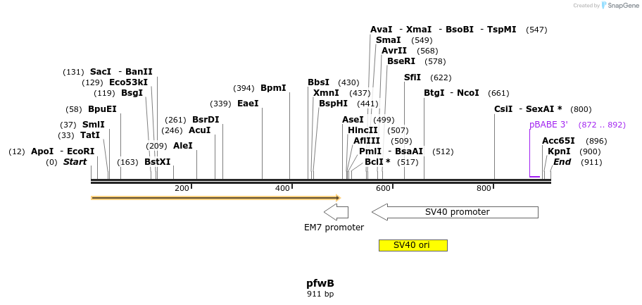 49804_map