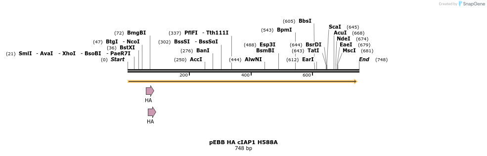 49807_map