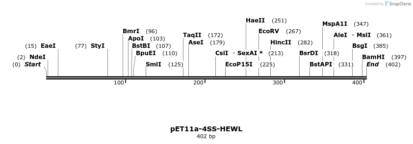 49809_map