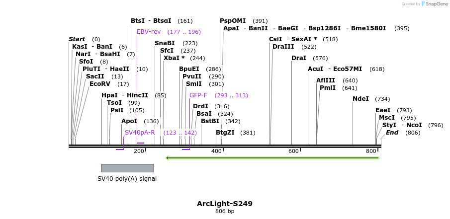 49810_map
