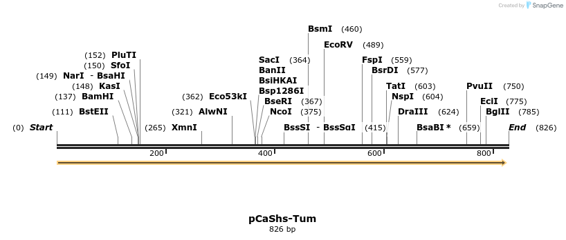 49816_map
