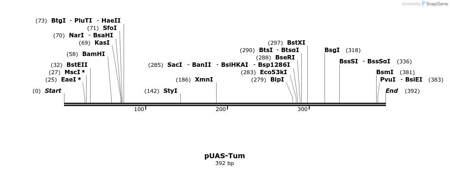 49817_map
