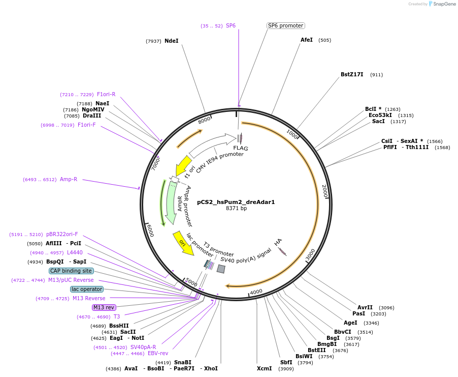 498179_map