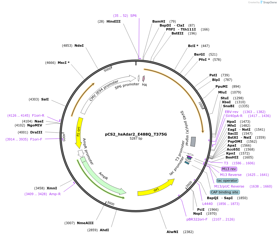 498181_map